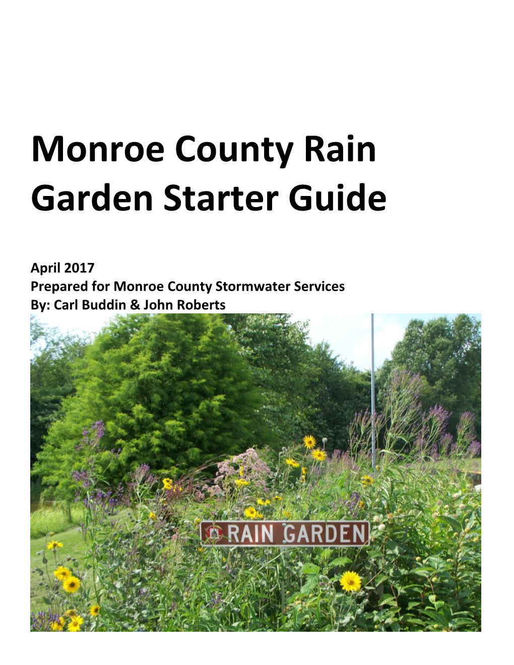 Monroe County Rain Garden Starter Guide