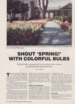 SHOUT 'SPRING!' with COLORFUL BULBS Myriad Bulb Varieties Will Turn up the Color Volume on Spring Landscaping Displays