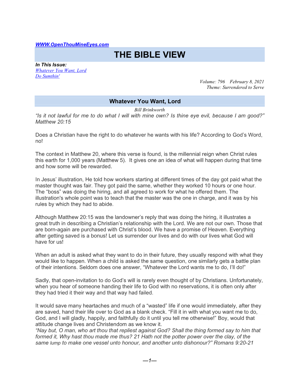 The Bible View