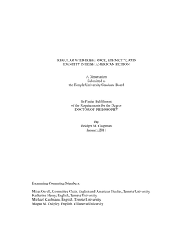 Regular Wild Irish: Race, Ethnicity, and Identity in Irish American Fiction