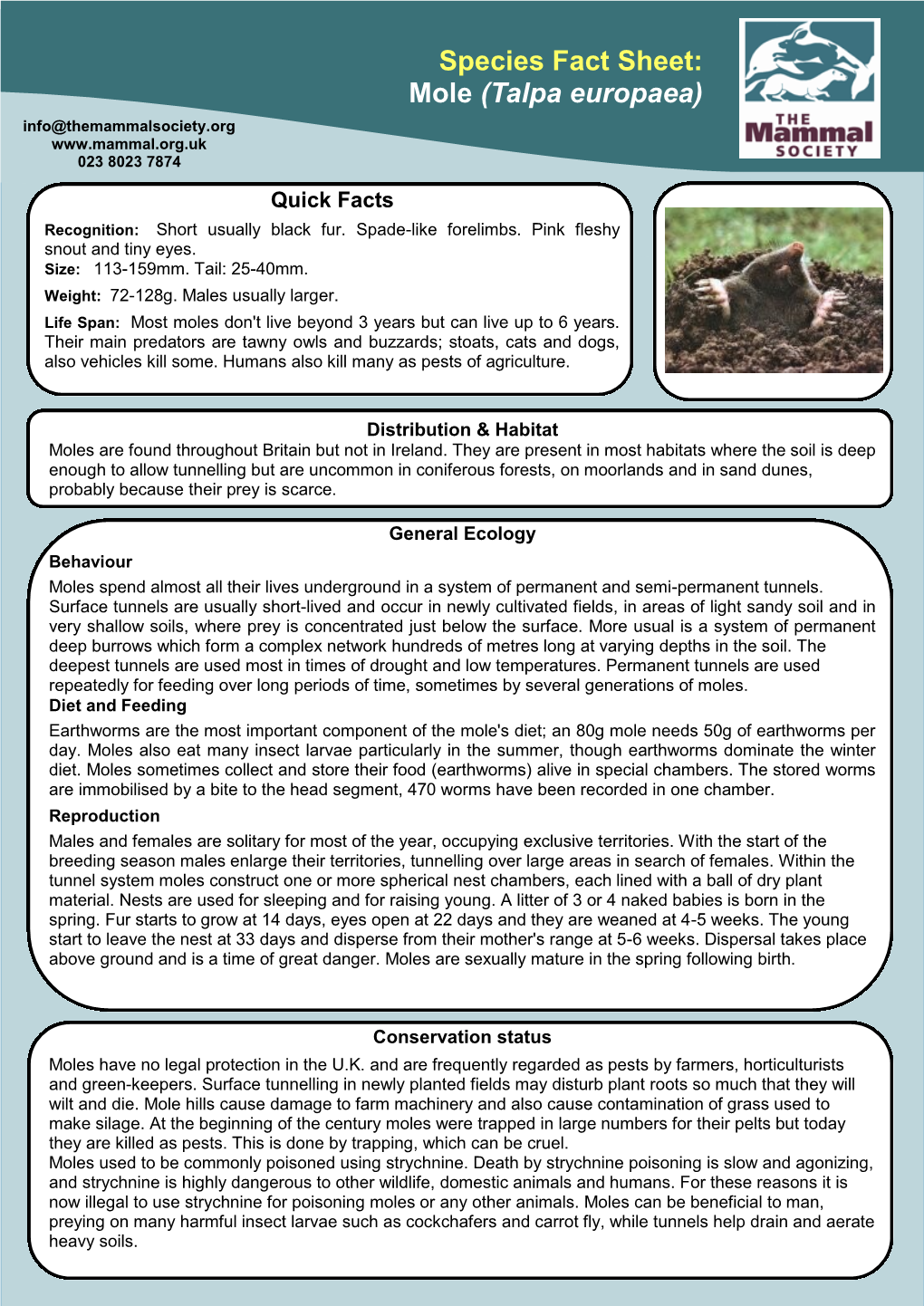 Species Fact Sheet: Mole (Talpa Europaea) Info@Themammalsociety.Org 023 8023 7874 Quick Facts