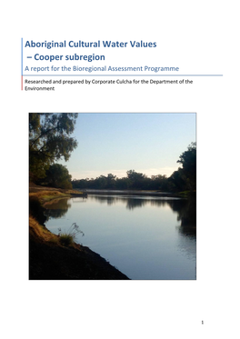COO Indigenous Report, PDF, 4.32 MB
