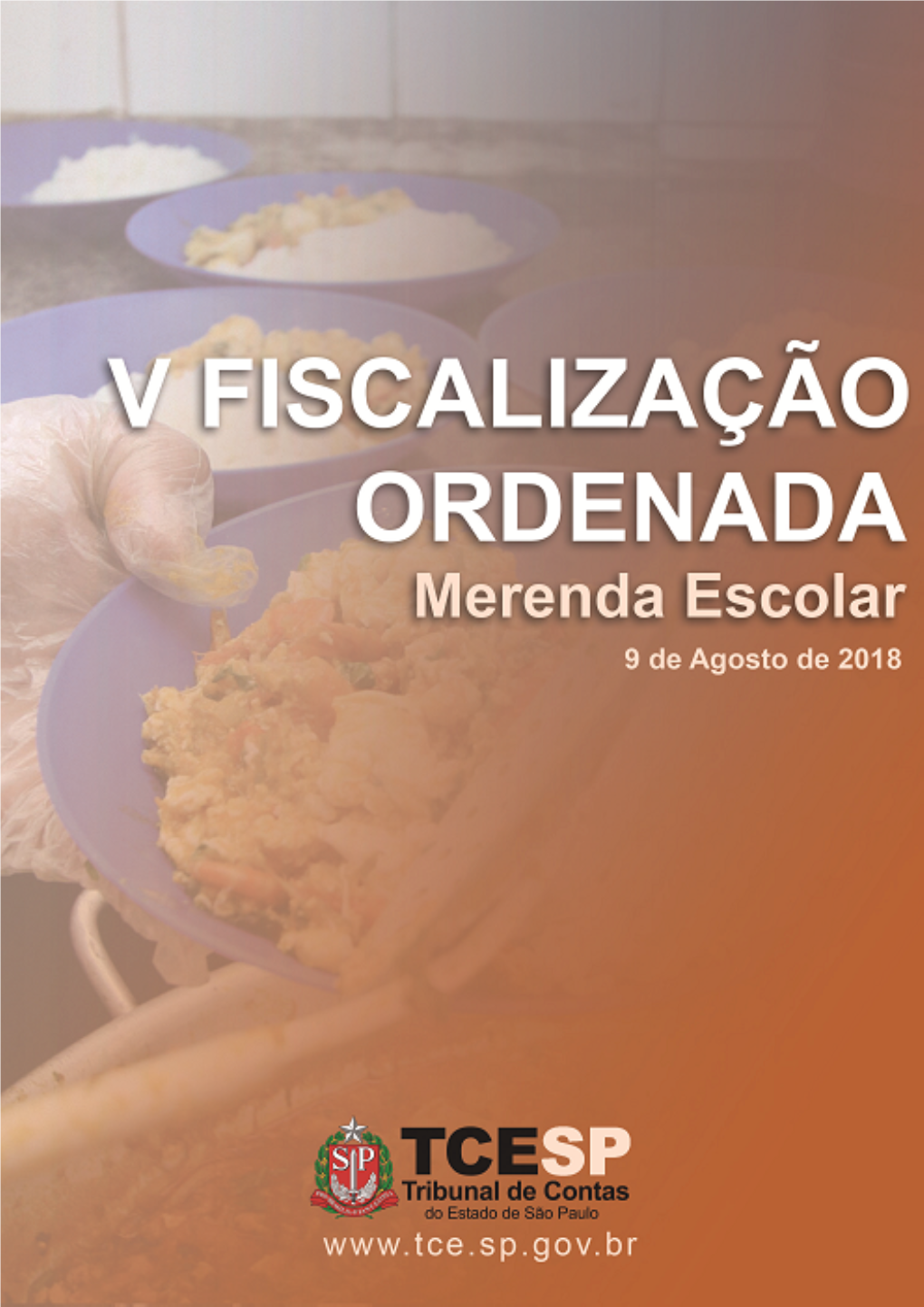 RELATORIO CONSOLIDADO MERENDA 2018 0.Pdf