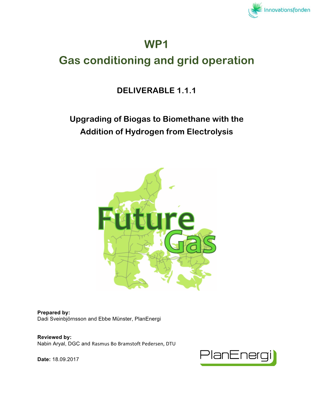 WP1 Gas Conditioning and Grid Operation