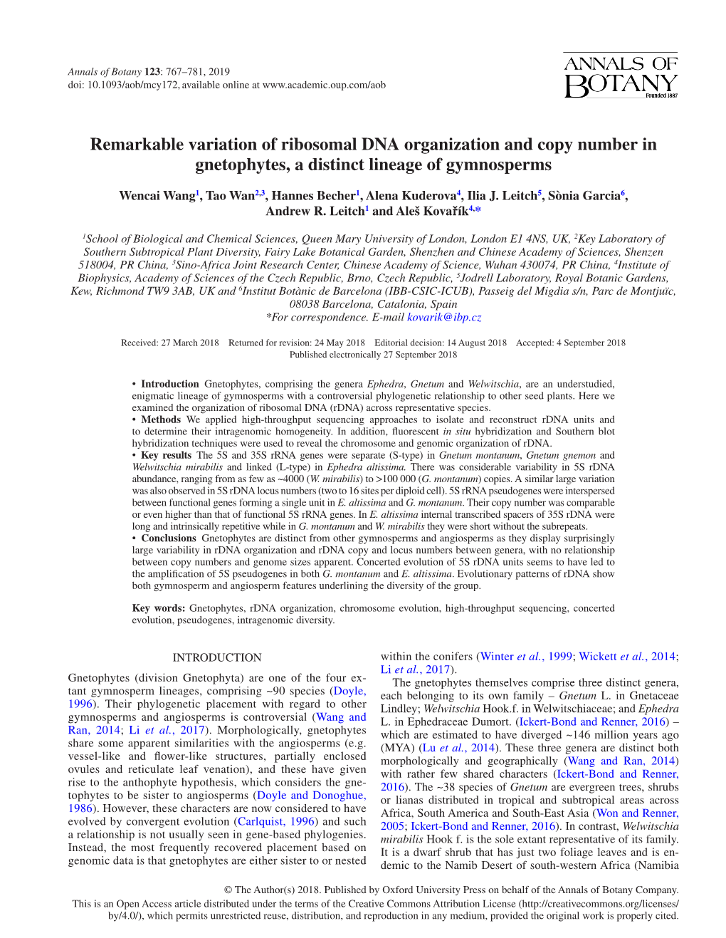 Remarkable Variation of Ribosomal DNA Organization and Copy Number in Gnetophytes, a Distinct Lineage of Gymnosperms