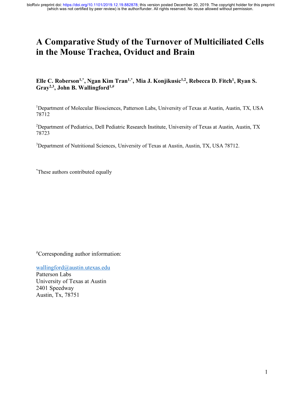 A Comparative Study of the Turnover of Multiciliated Cells in the Mouse Trachea, Oviduct and Brain