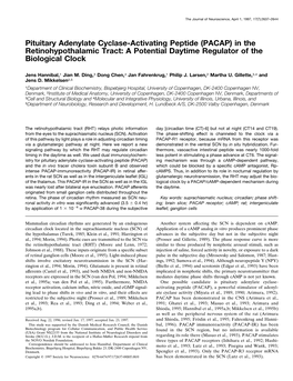 In the Retinohypothalamic Tract: a Potential Daytime Regulator of the Biological Clock