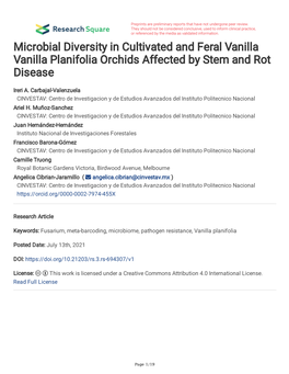 Microbial Diversity in Cultivated and Feral Vanilla Vanilla Planifolia Orchids Affected by Stem and Rot Disease