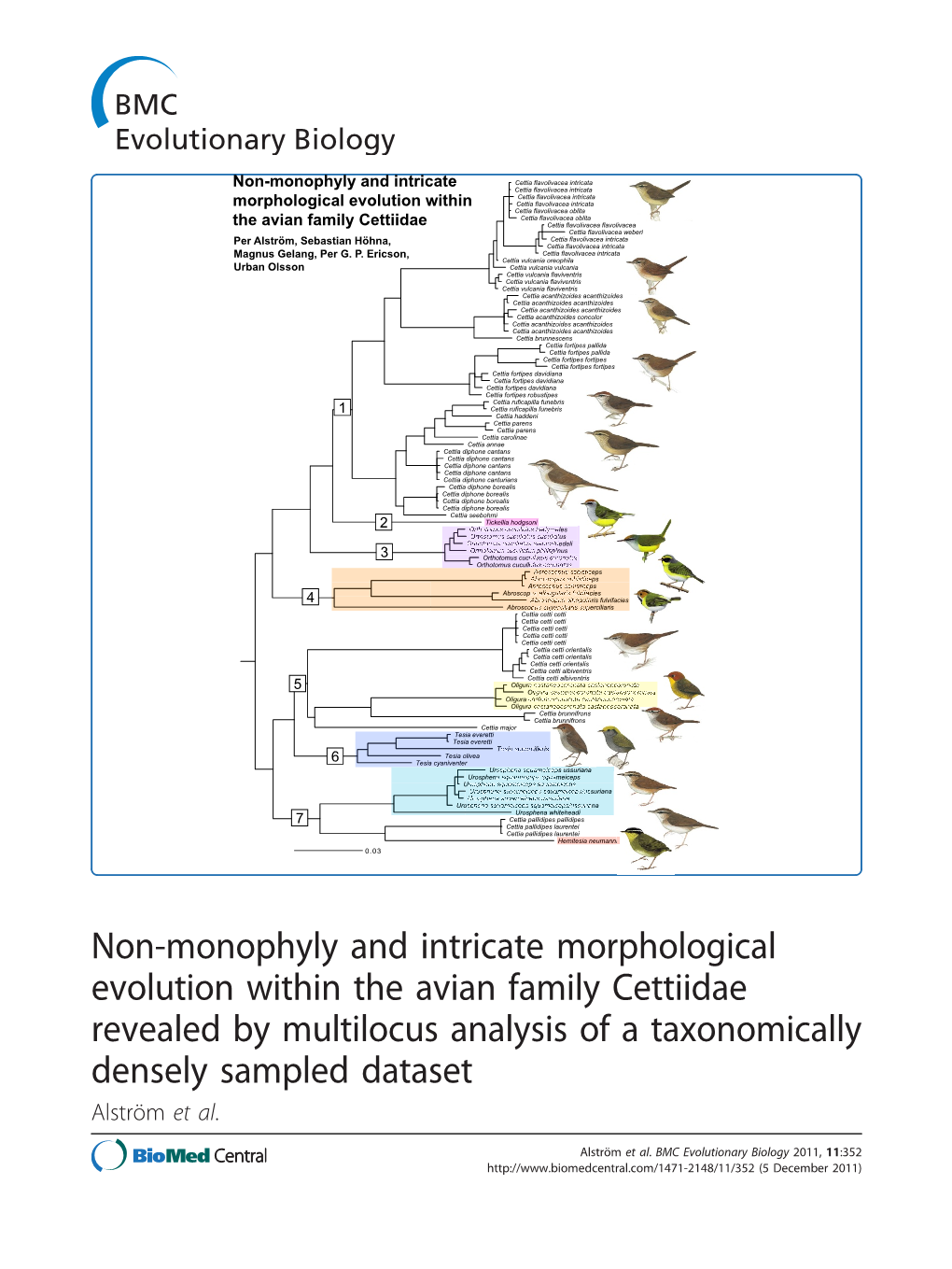 Non-Monophyly and Intricate Morphological Evolution Within The
