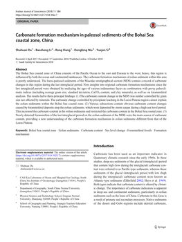 Carbonate Formation Mechanism in Paleosol Sediments of the Bohai Sea Coastal Zone, China