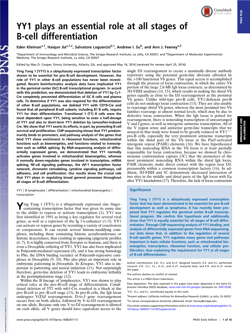 YY1 Plays an Essential Role at All Stages of B-Cell Differentiation