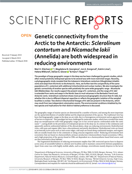 Genetic Connectivity from the Arctic to the Antarctic: Sclerolinum Contortum