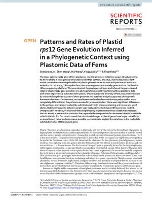 Patterns and Rates of Plastid Rps12 Gene Evolution Inferred In