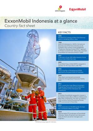 Exxonmobil Indonesia at a Glance Country Fact Sheet