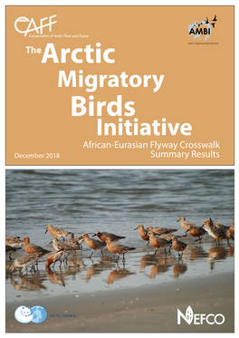 Migratory Initiative
