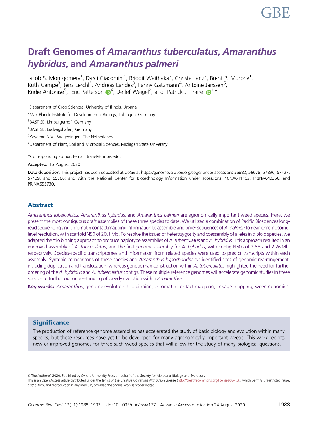 Draft Genomes of Amaranthus Tuberculatus, Amaranthus Hybridus,Andamaranthus Palmeri