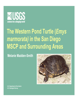 The Western Pond Turtle (Emys Marmorata) in the San Diego MSCP and Surrounding Areas Melanie Madden-Smith