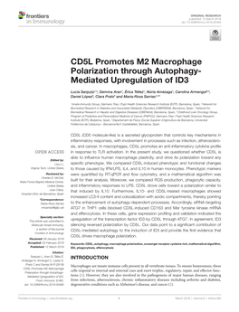 CD5L Promotes M2 Macrophage Polarization Through Autophagy-Mediated Upregulation Of