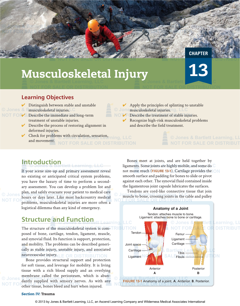 Musculoskeletal Injury