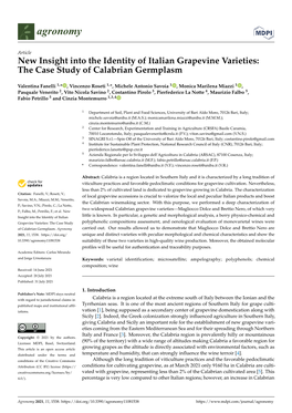New Insight Into the Identity of Italian Grapevine Varieties: the Case Study of Calabrian Germplasm