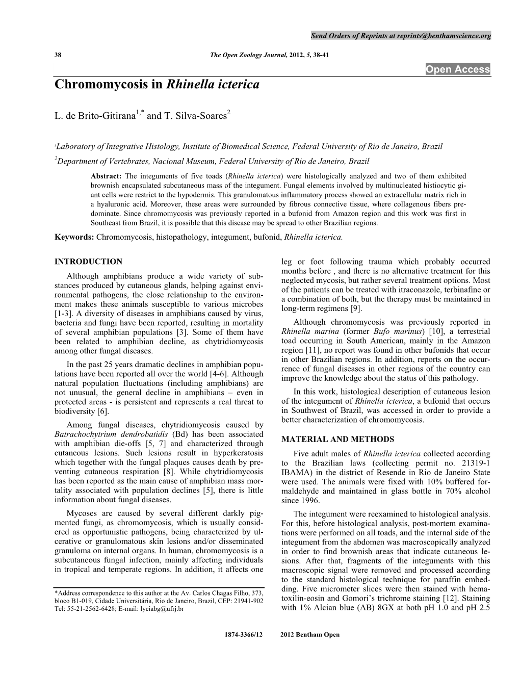 Chromomycosis in Rhinella Icterica