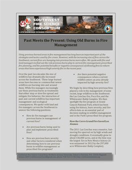 Using Old Burns in Fire Management