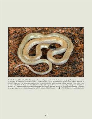 Tantilla Planiceps (Blainville, 1835). This Species Is the Nominotypical Member of the Tantilla Planiceps Group