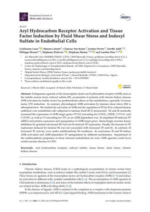 Aryl Hydrocarbon Receptor Activation and Tissue Factor Induction by Fluid Shear Stress and Indoxyl Sulfate in Endothelial Cells
