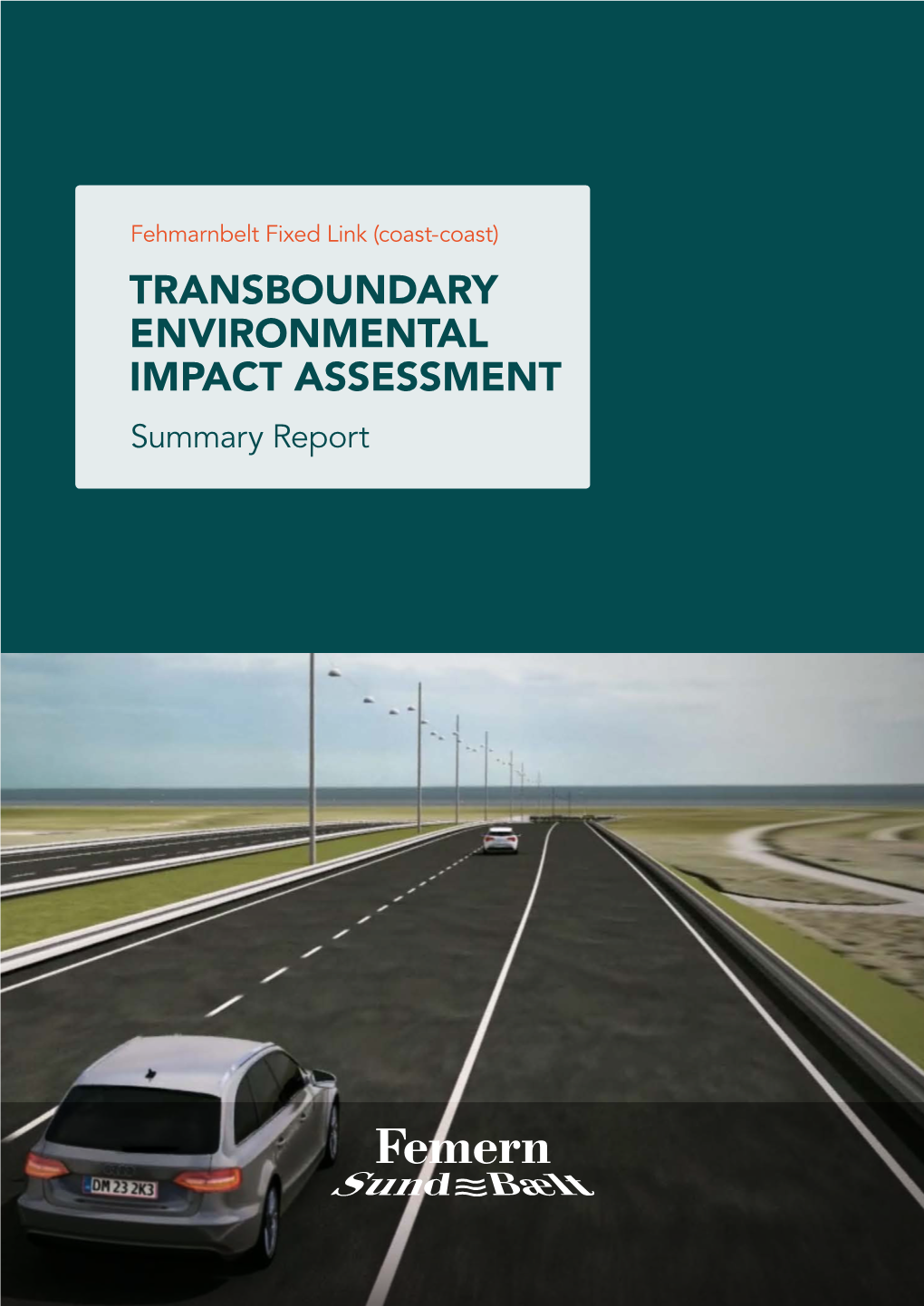 TRANSBOUNDARY ENVIRONMENTAL IMPACT ASSESSMENT Summary Report