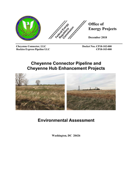 Environmental Assessment for the Proposed Cheyenne Connector