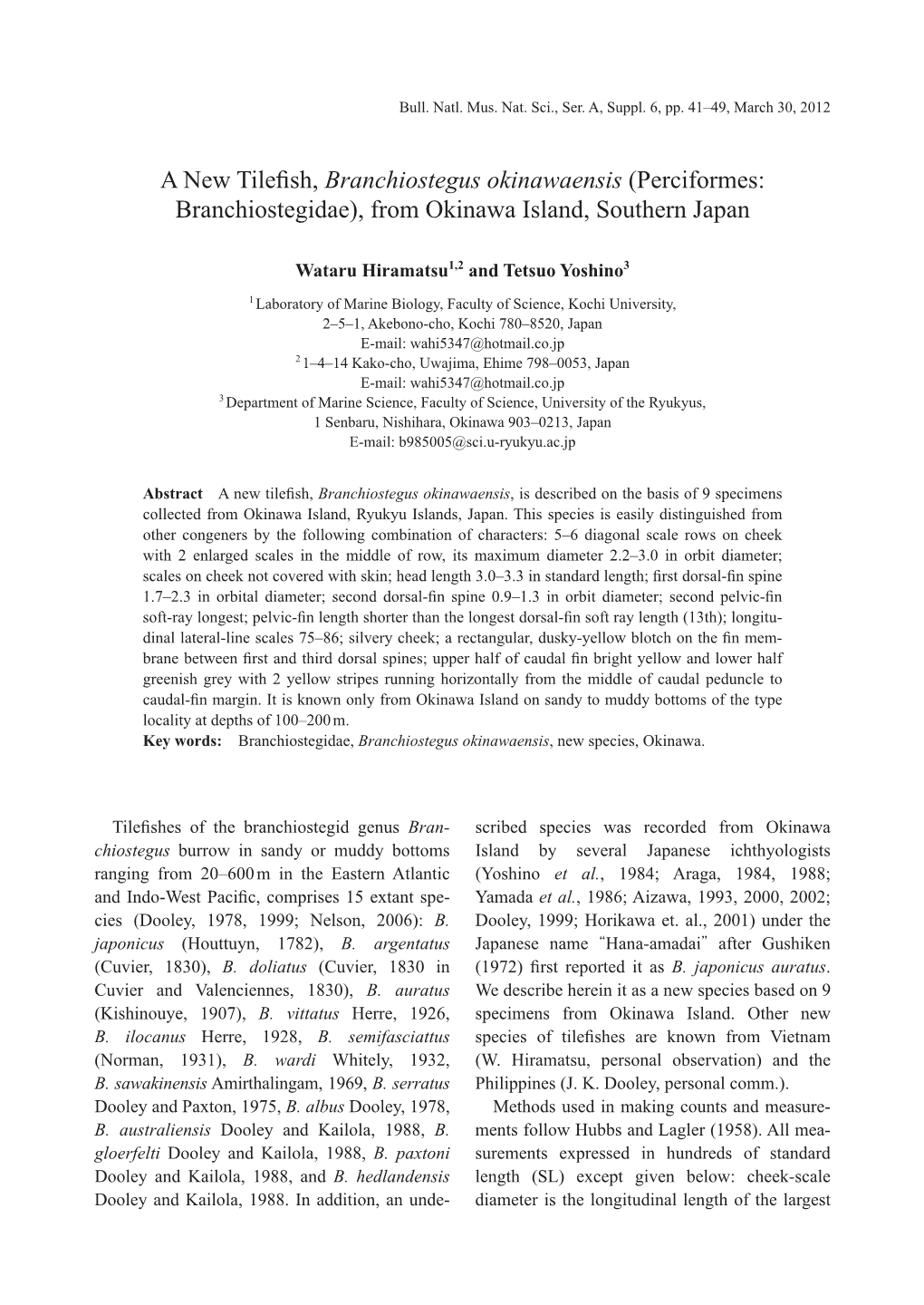 A New Tilefish, Branchiostegus Okinawaensis (Perciformes