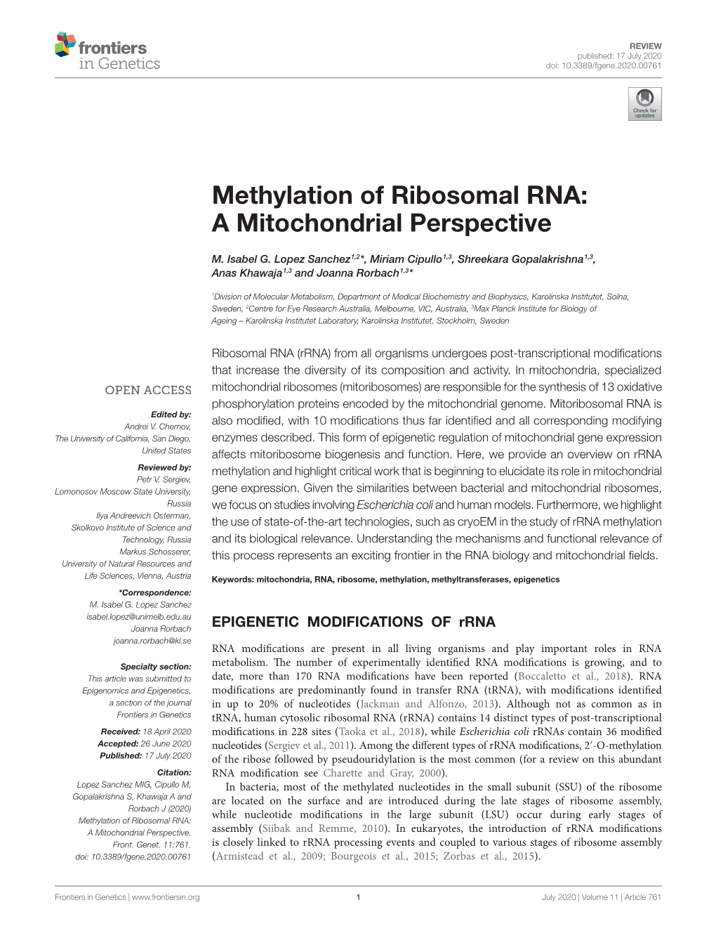 Methylation of Ribosomal RNA: a Mitochondrial Perspective