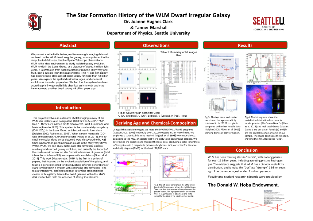 The Star Formation History of the WLM Dwarf Irregular Galaxy