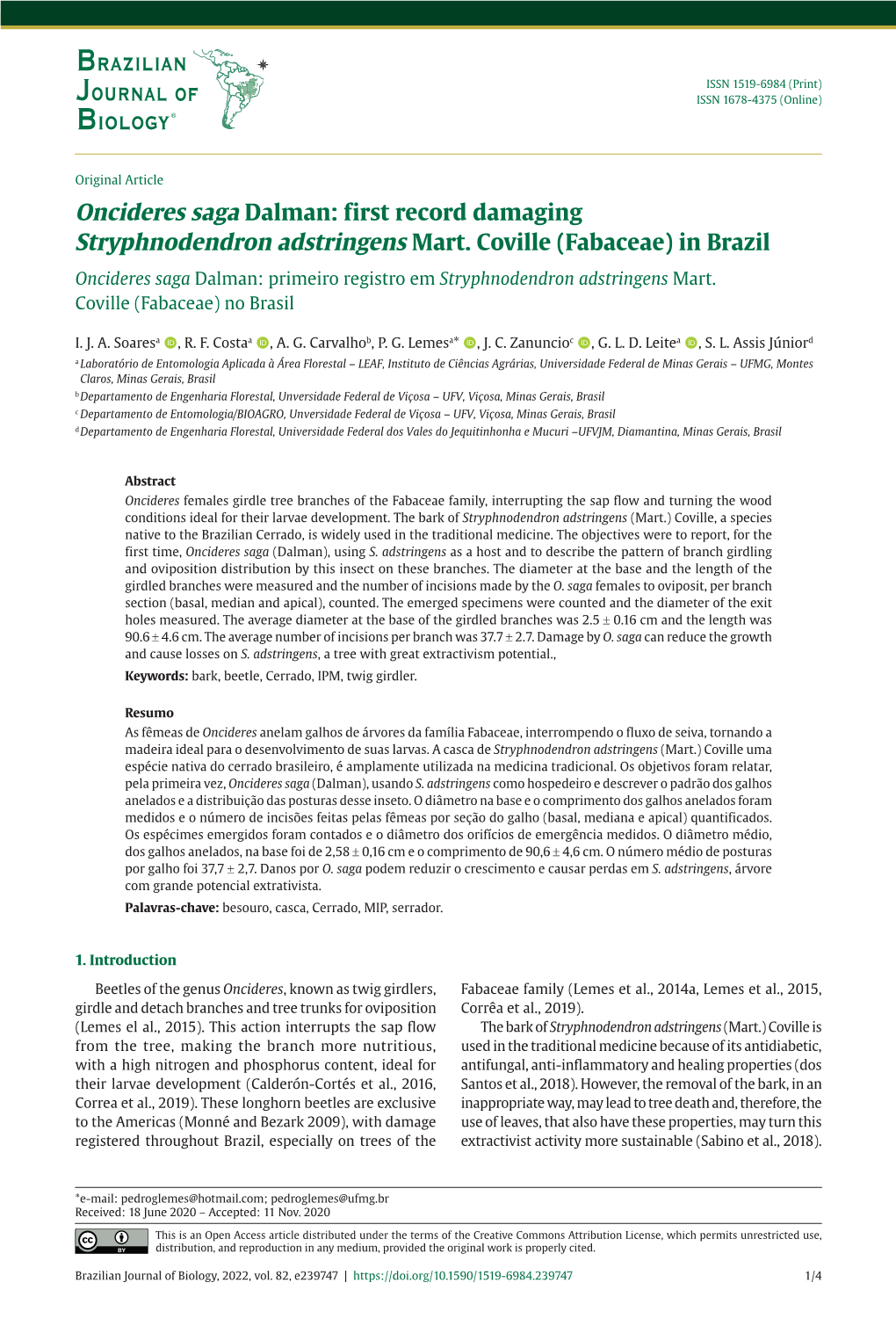 Oncideres Saga Dalman: First Record Damaging Stryphnodendron Adstringens Mart