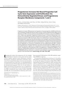 Progesterone Increases Rat Neural Progenitor Cell Cycle Gene