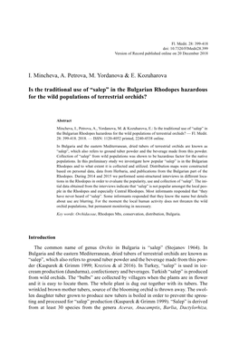 Salep” in the Bulgarian Rhodopes Hazardous for the Wild Populations of Terrestrial Orchids?