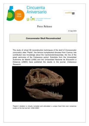 Concavenator Skull Reconstructed