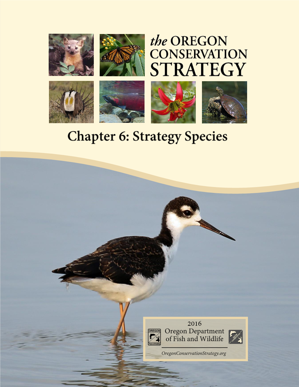 Strategy Species