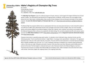 Idaho's Registry of Champion Big Trees 06.13.2019 Yvonne Barkley, Director Idaho Big Tree Program TEL: (208) 885-7718; Email: Extfor@Uidaho.Edu