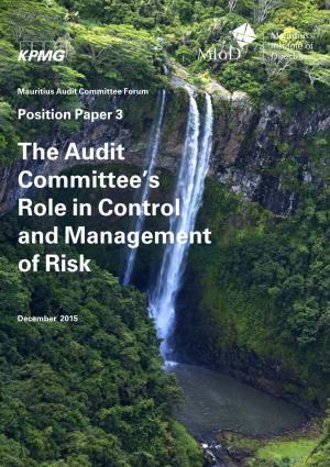 The Audit Committee's Role in Control and Management of Risk
