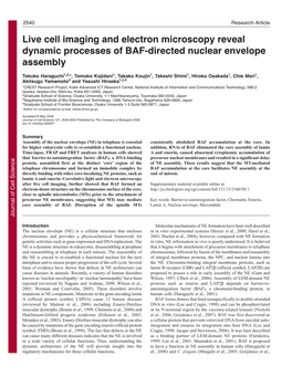 Live Cell Imaging and Electron Microscopy Reveal Dynamic Processes of BAF-Directed Nuclear Envelope Assembly