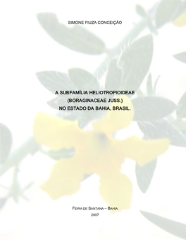 Boraginaceae Juss.) No Estado Da Bahia, Brasil