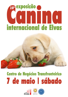 Catálogo Catalogue