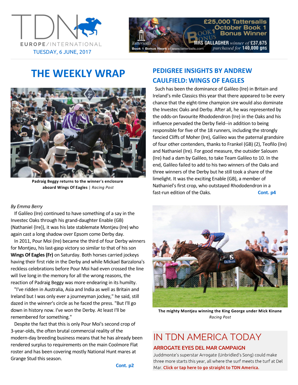 The Weekly Wrap