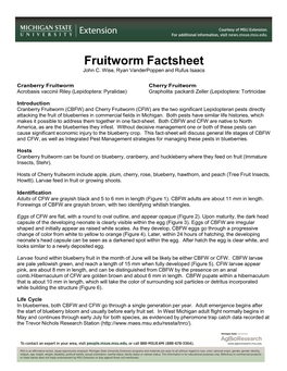 Blueberry Fruitworm Factsheet