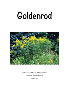 Goldenrod Research