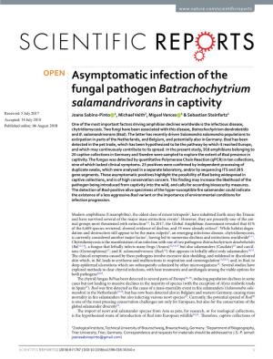 Asymptomatic Infection of the Fungal Pathogen Batrachochytrium