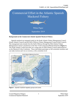 Commercial Effort in the Atlantic Spanish Mackerel Fishery