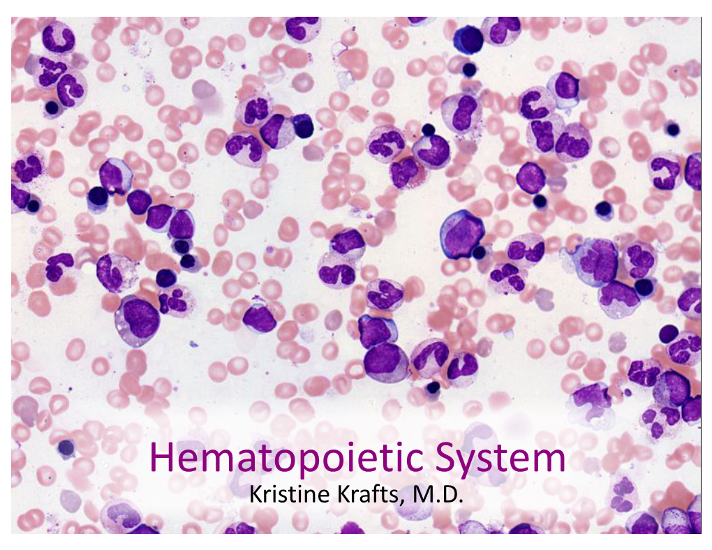 09-Hematopoietic-System