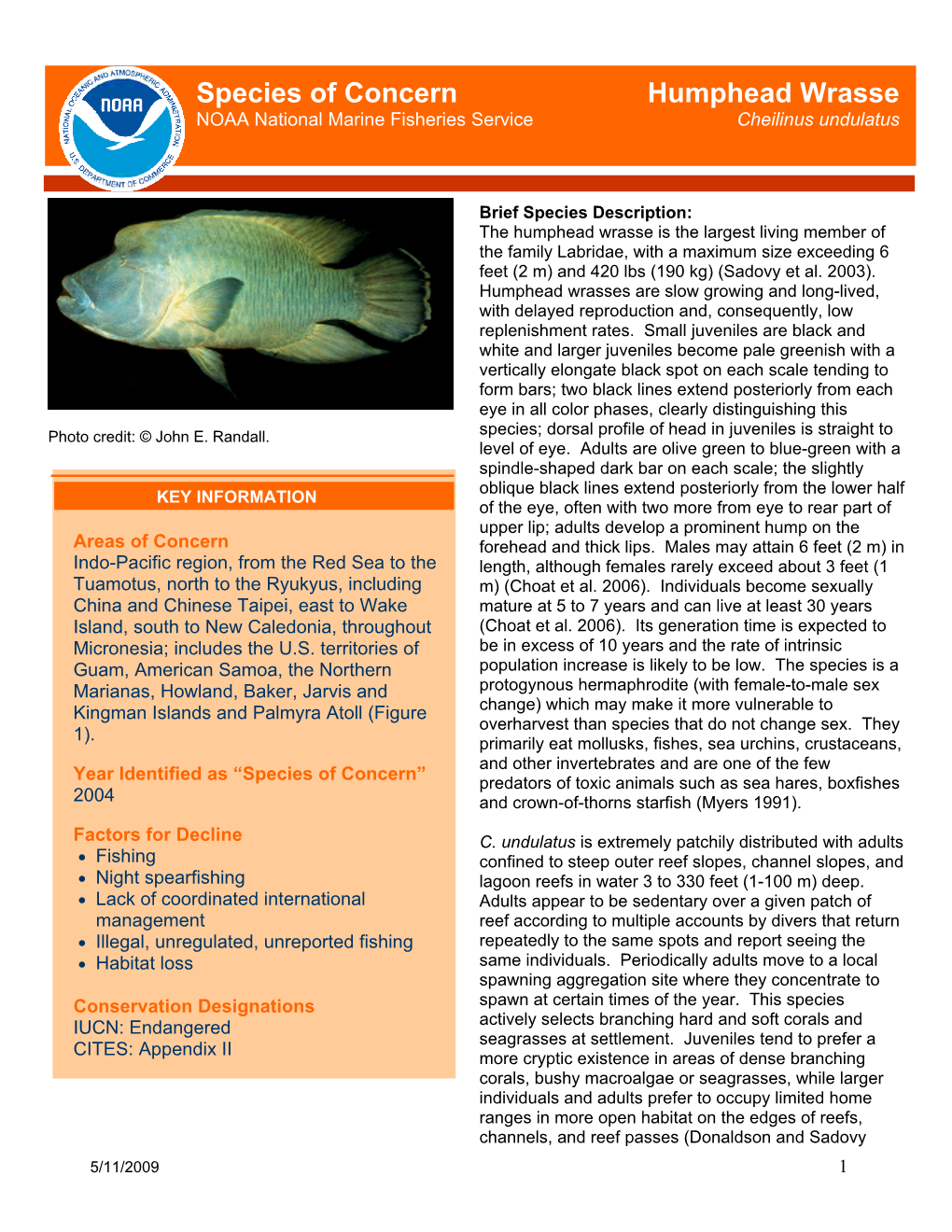 Species of Concern Humphead Wrasse NOAA National Marine Fisheries Service Cheilinus Undulatus